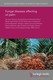 Fungal diseases affecting oil palm