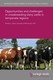 Opportunities and challenges in crossbreeding dairy cattle in temperate regions