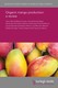 Organic mango production: a review