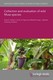 Collection and evaluation of wild Musa species