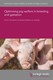 Optimising pig welfare in breeding and gestation