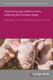 Optimising pig welfare at the weaning and nursery stage