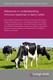 Advances in understanding immune response in dairy cattle