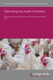 Optimizing the health of poultry broilers