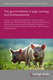 The gut microbiota in pigs: ecology and biotherapeutics