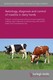 Aetiology, diagnosis and control of mastitis in dairy herds