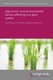 Agronomic and environmental factors affecting rice grain quality