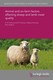 Animal and on-farm factors affecting sheep and lamb meat quality