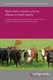 Beef cattle nutrition and its effects on beef quality