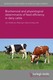 Biochemical and physiological determinants of feed efficiency in dairy cattle