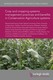 Crop and cropping systems management practices and benefits in Conservation Agriculture systems