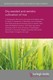 Dry-seeded and aerobic cultivation of rice