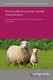 Factors affecting sheep carcass characteristics
