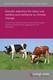Genetic selection for dairy cow welfare and resilience to climate change