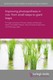 Improving photosynthesis in rice: from small steps to giant leaps