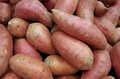 Sweet potatoes collection