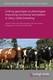 Linking genotype to phenotype: improving functional annotation in dairy cattle breeding