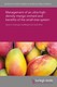 Management of an ultra-high-density mango orchard and benefits of the small-tree system